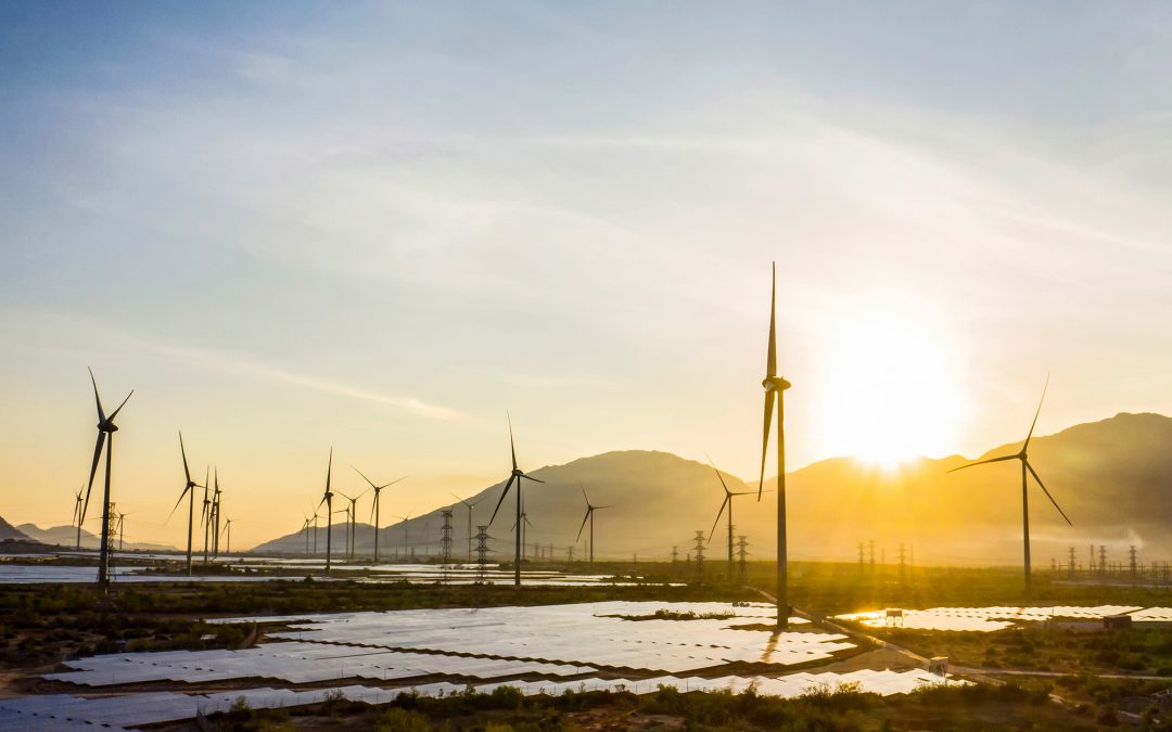 GWEC: 6,7 tỉ USD đầu tư cho điện gió ở Việt Nam gặp rủi ro do COVID-19