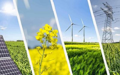 Năng lượng tái tạo là gì? Phân loại, ưu nhược điểm & ứng dụng