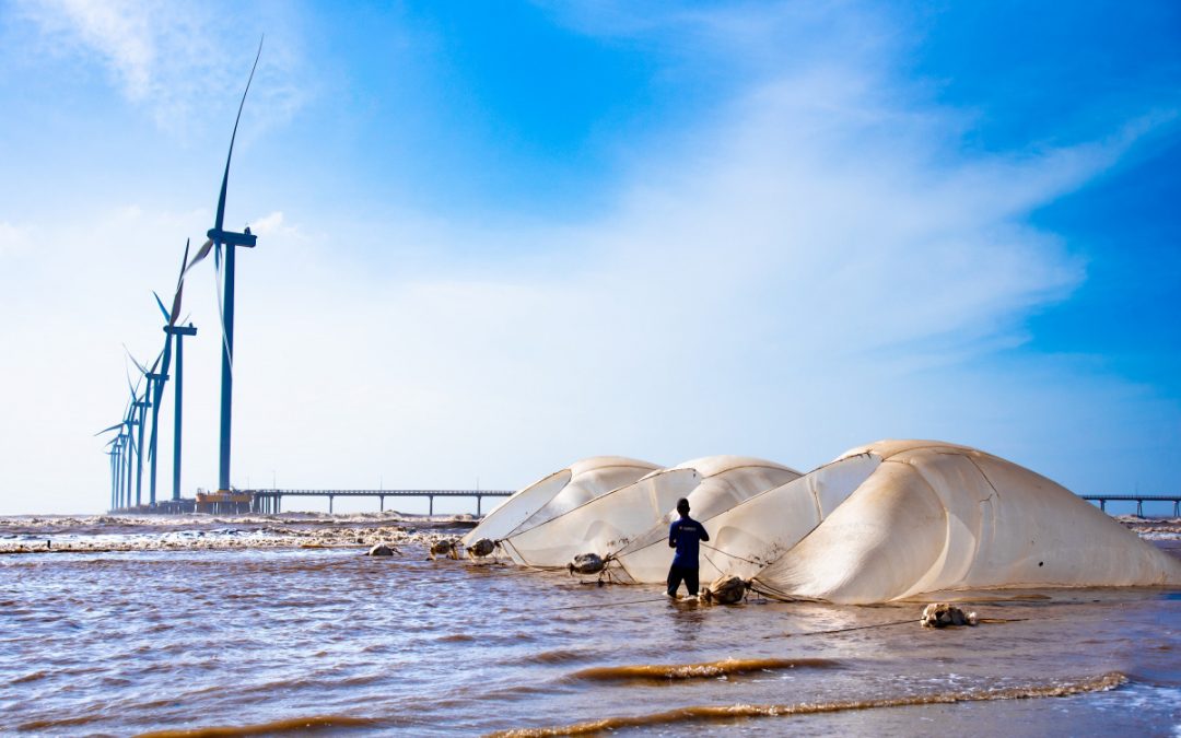 Mở rộng điện gió trong tổ hợp điện của Việt Nam: cơ hội và thách thức